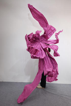 舞动【运费自理】