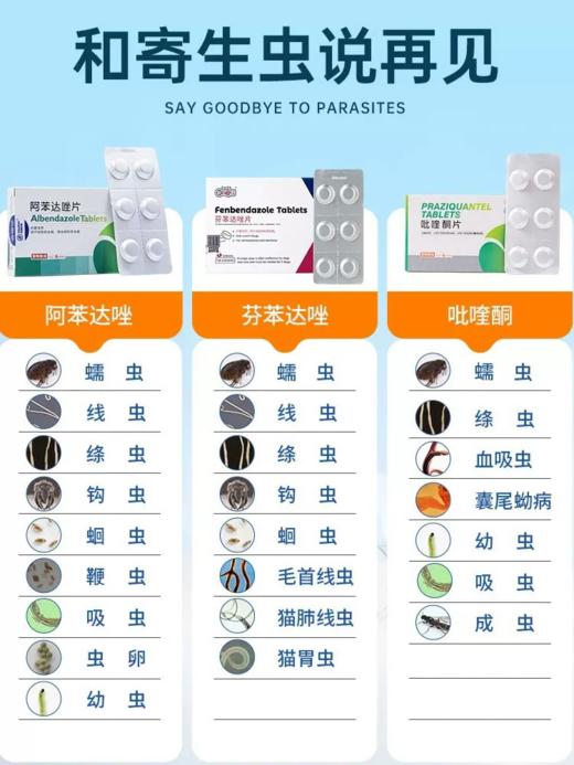 【39.9元任选4件】阿苯达唑0.1g*6片｜新宠之康 商品图4