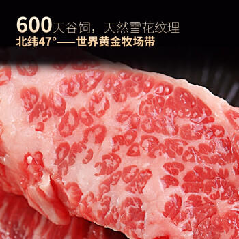 龍江和牛 国产和牛原切牛腩净重700g  【真原切】 商品图0