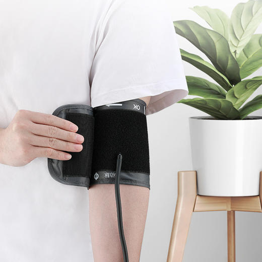 【分仓直发包邮】西屋Westinghouse-壁式电子血压仪WHX-B1 商品图2