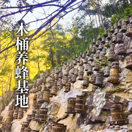 新疆归农土蜂蜜500g 商品图1