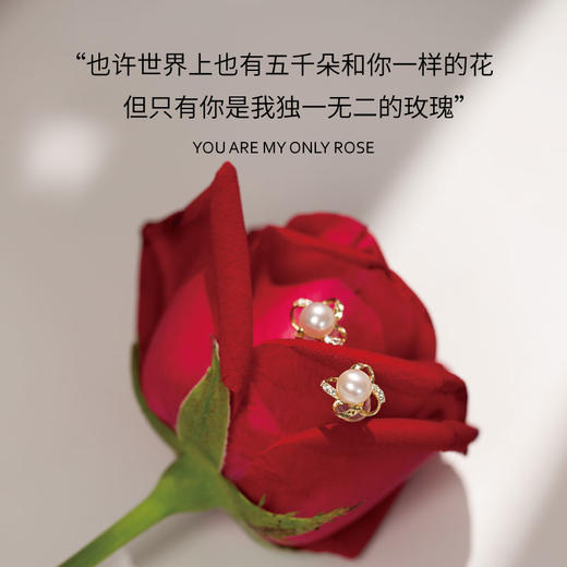 永不过时的珍珠首饰 | 世界上繁花无数，唯有你是我的玫瑰，多种款式，精致浪漫，简约优雅 商品图1