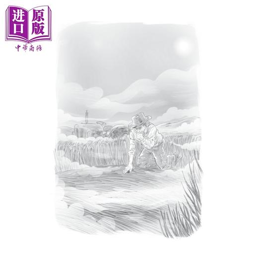 【中商原版】什么是麦田怪圈 What Do We Know About Crop Circles 英文原版 儿童百科故事 科学知识儿童读物 进口图书 Who HQ 商品图2