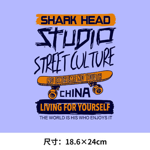 英文字母V热转印烫画贴M卫衣高级潮牌衣服定做烫图白墨2023新款 商品图4