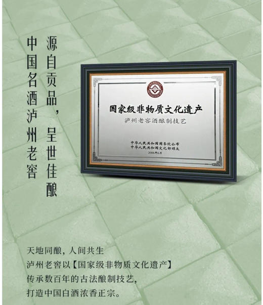 泸州老窖 浓香型白酒 52度 熊猫镜 500ml*2瓶 商品图4