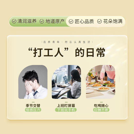 【99元任选3件】【正宗同仁堂品牌】北京同仁堂 造养青年 胎菊30g菊花 杭白菊蕾 可搭配枸杞决明子胖大海金银花玫瑰养生花草茶SY 商品图1