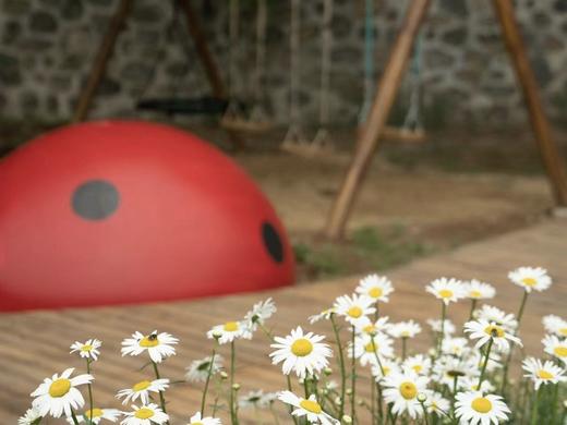 午餐：农场招牌菜套餐 商品图5