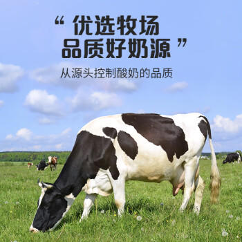 和润 低脂肪草莓桑葚果粒 低温酸奶酸牛奶 风味发酵乳 200g*3杯 商品图6