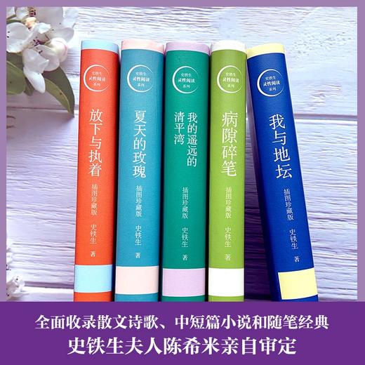 【莫言、余华、苏童赞不绝口】《史铁生文集》（吴冠中插图珍藏版，全5册）| 他的文字如一束光，照亮无数人~ 商品图3