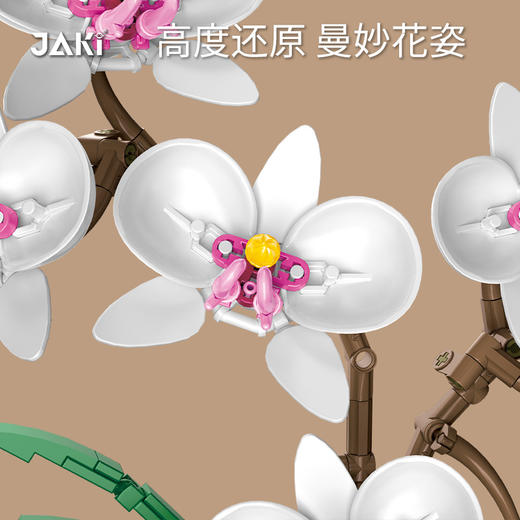 JAKI佳奇植物日志蝴蝶兰 室内装饰新宠 提升空间格调 营造高雅氛围感 桌面家用摆件 商品图1