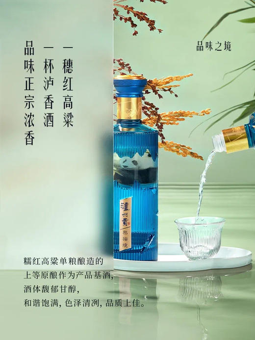 泸州老窖 浓香型白酒 52度 熊猫镜 500ml*2瓶 商品图3