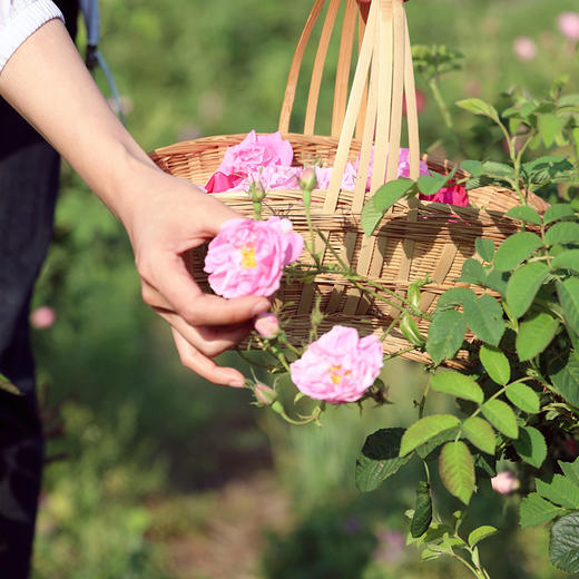 大马士革玫瑰面膜 植物纤维膜布可降解 5片/盒 商品图2