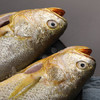 1号会员店（One's Member）【山姆同厂】冷冻宁德三去黄花鱼 大黄鱼700g/2条装 生鲜水产鱼类 商品缩略图6