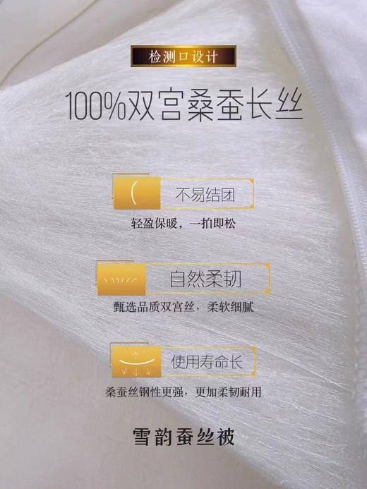 雪韵100%桑蚕丝被（纯棉 提花 内胆套） 商品图4