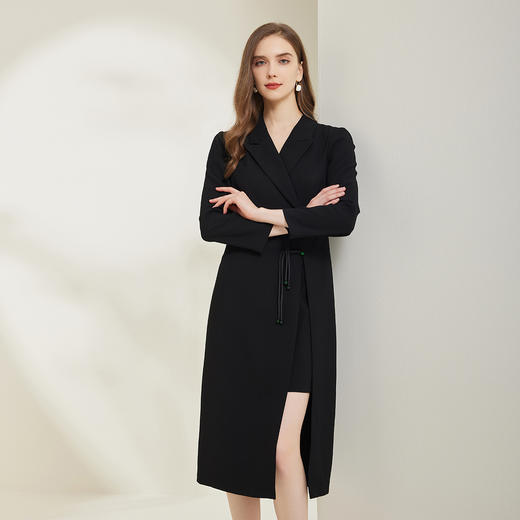 RE8A8斯尔丽瑟俪203秋季新款收腰设计感侧开叉连衣裙 商品图0