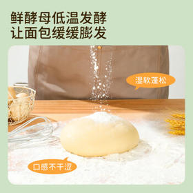 达利园软面包香橙味5斤量贩装休闲零食早餐代餐（新老包装随机发货）