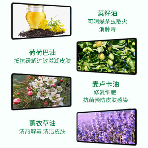 德国 cdVet 施德维特 防护精华液（温和型） 10ml 商品图2