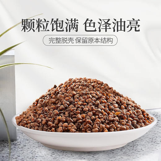 庄民 黑苦荞茶 全胚芽大颗粒 精选花草茶叶泡水180g/罐 商品图1