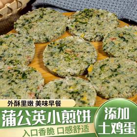 蒲公英煎饼速食面点半成品手抓小菜饼儿童早餐饼270gx2袋起鸡蛋煎