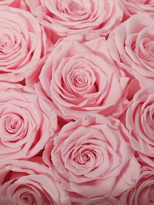 VBEINGS花语 玫瑰花束永生花 商品图4