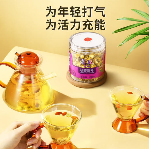 【99元任选3件】【正宗同仁堂品牌】北京同仁堂 造养青年 胎菊30g菊花 杭白菊蕾 可搭配枸杞决明子胖大海金银花玫瑰养生花草茶SY 商品图5