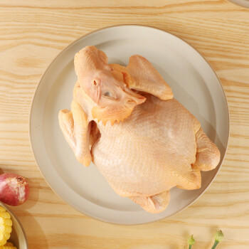 温氏跑步小土鸡1.3斤 110天童子鸡土鸡 冷冻走地鸡火锅食材 生鲜鸡肉 商品图4