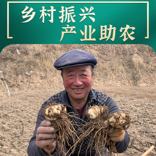 丨有机丨甘肃9年生甜百合  国家地标 0度保鲜2个月 商品图2