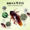 CHEIR杀虫剂灭蚊基孔肯雅热水杀蟑螂药除螨虫驱蚊除菌无味杀虫剂600ml 商品缩略图6