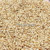 散装 100g/500g 【炒熟】白芝麻/黑芝麻 家用熟芝麻 烘焙蛋黄酥烧烤调味料芝麻 商品缩略图3