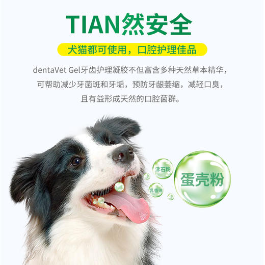 牙齿护理凝胶25ml【以及只发配套空罐】 商品图4