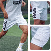 蜂锐FUNRY足球运动比赛成人青少年组队短裤透气训练裤运动裤 商品缩略图1
