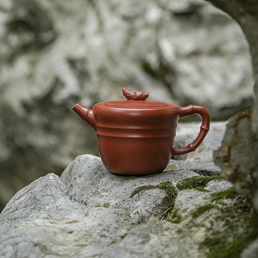 龙德堂陶艺 汤宣武制 《希望》原矿底槽清 210cc 库存请咨询客服 商品图0