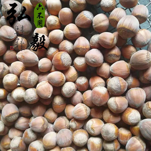 【弘毅六不用生态农场】六不用 榛子（生）250克/份 商品图0