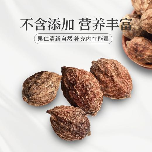 庄民 益智仁 精选好货益智子 益智仁茶100g/罐 商品图5