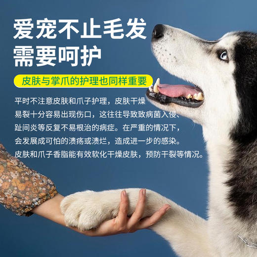 德国 cdVet 施德维特 皮肤和爪子护理香脂（犬） 30ml 商品图2