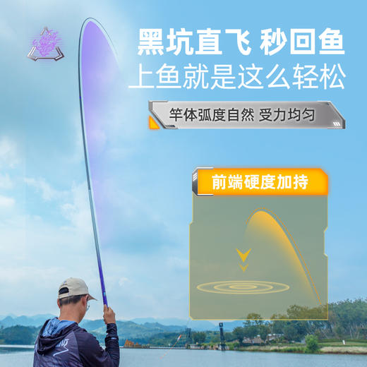 佳钓尼伏魔寻龙鱼竿黑坑专用鲤鱼竿手杆台钓竿 商品图3