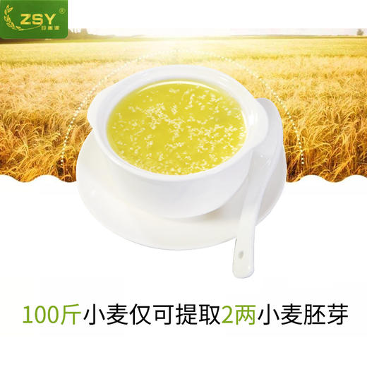 珍善源 小麦胚芽片 方便省心营养丰富  450g/盒  易冲泡 商品图2