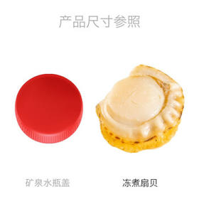獐子岛 冻煮虾夷扇贝800g 大号去脏去沙 海鲜水产生鲜贝类火锅食材原料