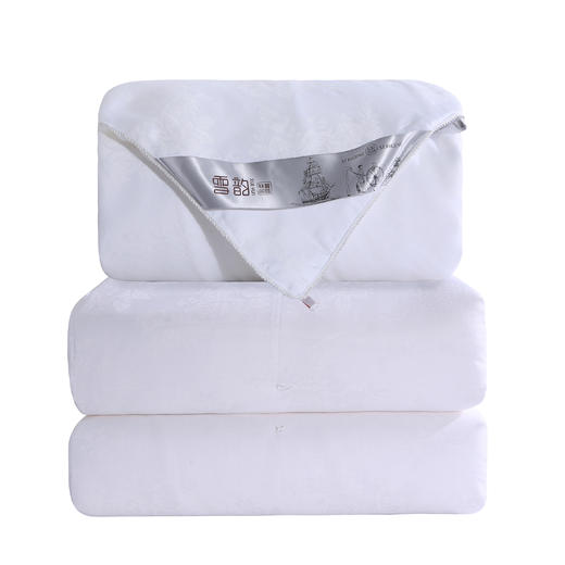 雪韵100%桑蚕丝被（纯棉 提花 内胆套） 商品图5