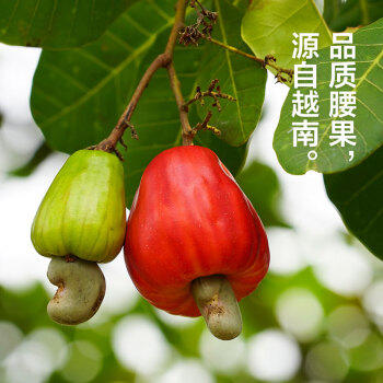 来伊份椰蓉腰果70g 每日坚果干果炒货 果仁干果食品休闲零食即食 商品图6