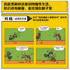 动物大爆炸 商品缩略图4