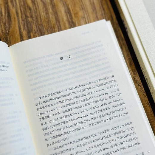 商队城市（二十世纪人文译丛） [美]M.罗斯托夫采夫 著 马百亮 译 商务印书馆 商品图4