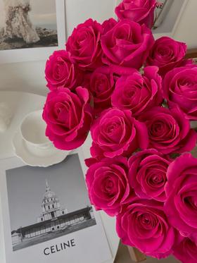 【周四秒杀】弗洛伊德玫瑰10枝49.8元