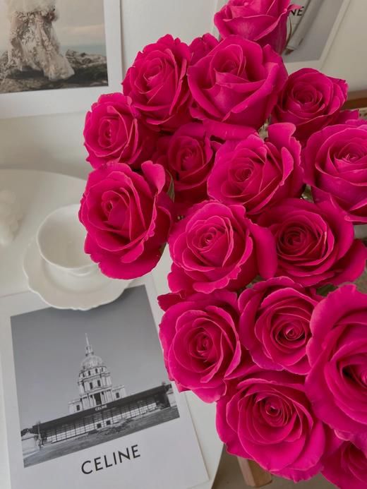 【周四秒杀】弗洛伊德玫瑰10枝49.8元 商品图0