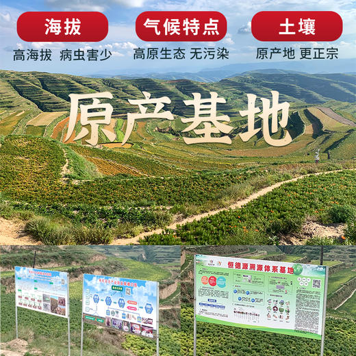 丨有机丨甘肃9年生甜百合  国家地标 0度保鲜2个月 商品图5