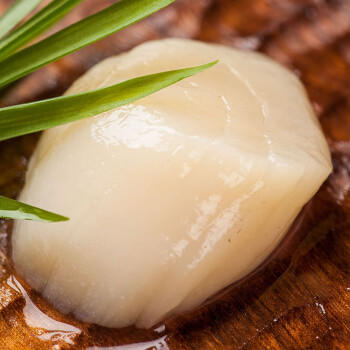獐子岛 冷冻扇贝柱250g 新鲜帆立贝柱瑶柱 海鲜水产贝类火锅食材原料 商品图2