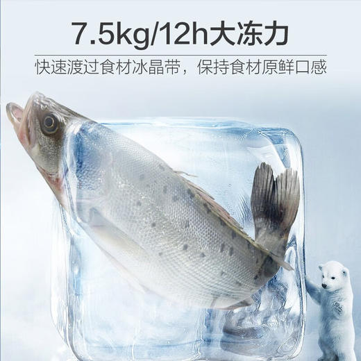 海尔（Haier）521升风冷无霜对开门双开门电冰箱家用双变频节能超薄嵌入式净味超大容量 商品图3