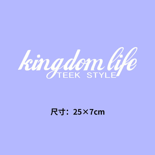 英文字母热转印烫画贴卫衣高级潮牌衣服字母定做烫图白墨2023新款 商品图1