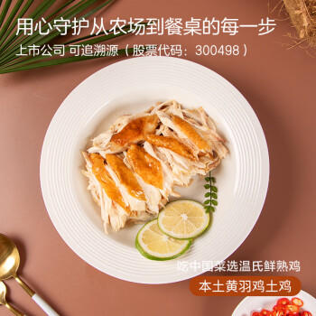 温氏供港鲜熟豉油好味鸡1斤 110天散养土鸡走地鸡 冷冻豉油鸡卤味熟食 商品图6