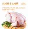 圣农奥尔良风味烤鸡420g 冷冻扒鸡手撕鸡整鸡全鸡半成品 空气炸锅 商品缩略图6